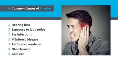 Causes Of Tinnitus Hearing Clinic Echo Audiology