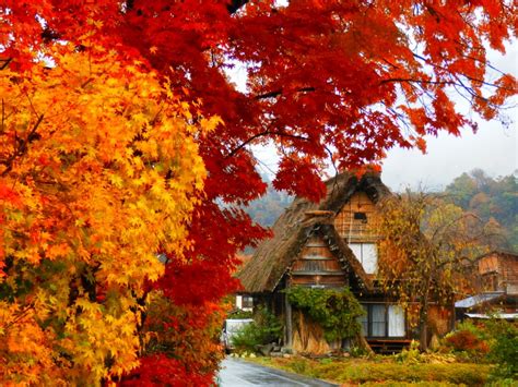 Eastcoastlife Colours Of Fall In Japan Photohunt
