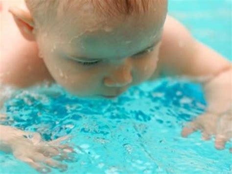 Bring Isr To Seattle Tuition Baby Swimming Infant