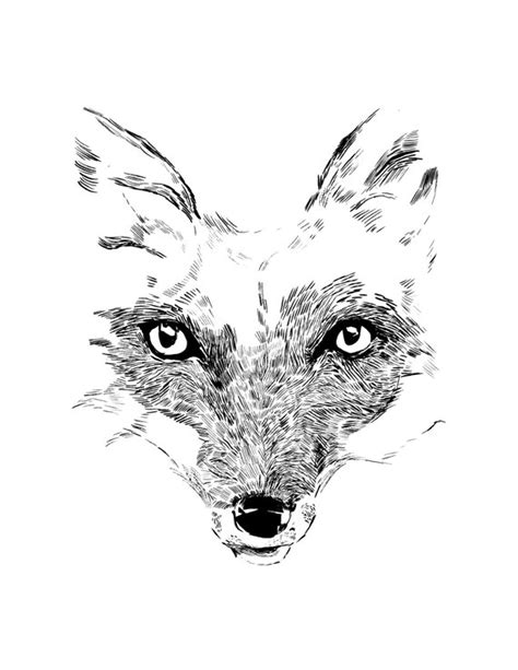 Items Similar To Fox Drawing Minimalist Fox Sketch Animal Print Wall