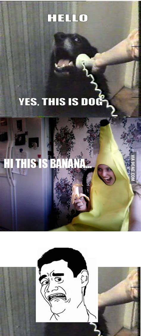 This Is Banana 9gag