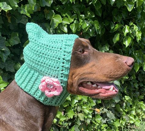 Crochet Pattern Dog Cowl Etsy Crochet Dog Dog Snood Crochet Dog Hat