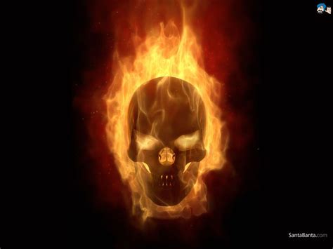 Fire Skull Wallpapers Top Free Fire Skull Backgrounds Wallpaperaccess