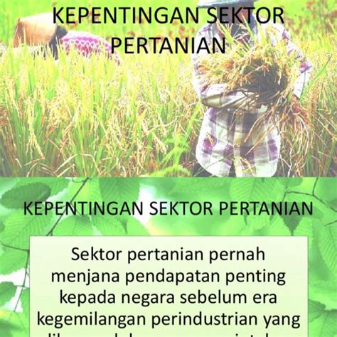 Percayakah anda dalam masa tak sampai sebulan anda bakal memperolehi pendapatan ribuan ringgit? Pertanian Menjana Pendapatan - Agriculture - Tambunan ...