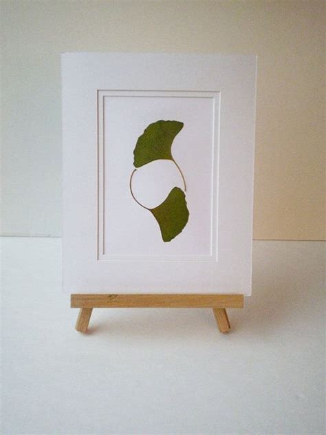 Reserved For Jill Un Framed Real Green Gingko Leaves Yin Yang Pressed