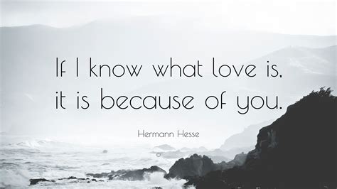 Hermann Hesse Quote If I Know What Love Is It Is Because Of You