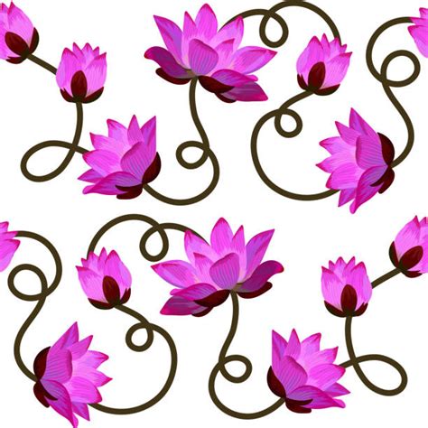 Pink Lotus On Water Illustrations Royalty Free Vector Graphics And Clip