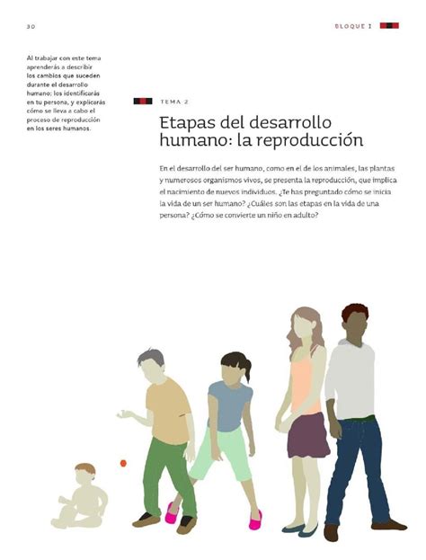 Etapas Del Desarrollo Humano La Reproducción Bloque I Tema 2