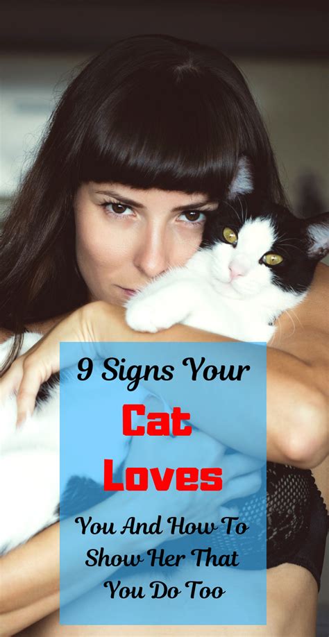 9 Signs Your Cat Loves You And How To Show Her That You Do Too Cat