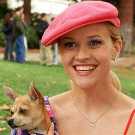 Legally Blonde Articles Videos Photos And More Entertainment Tonight