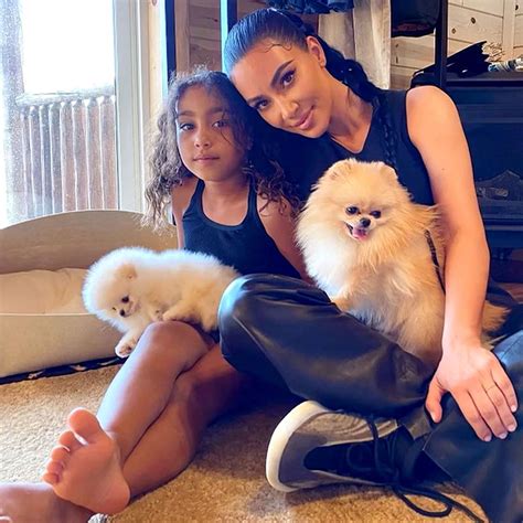 Kim Kardashian Slammed For Video Of Dogs Appearing To Live In Garage