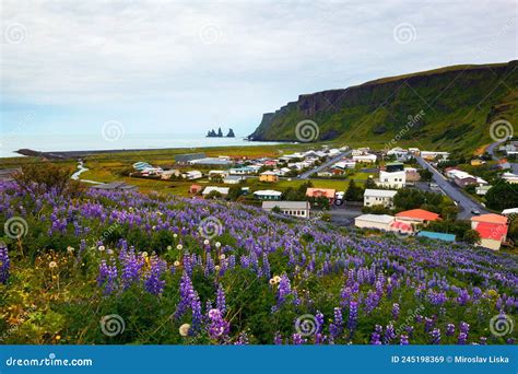 Village Of Vik I Myrdal In Iceland Stock Image Image Of Scenic