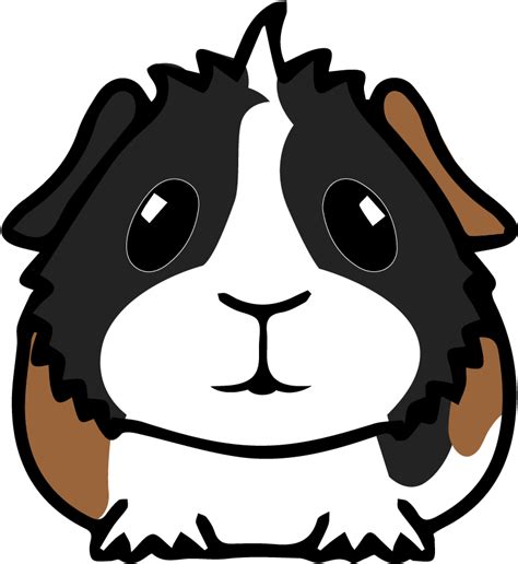 Guinea Pig Clipart Large Size Png Image Pikpng