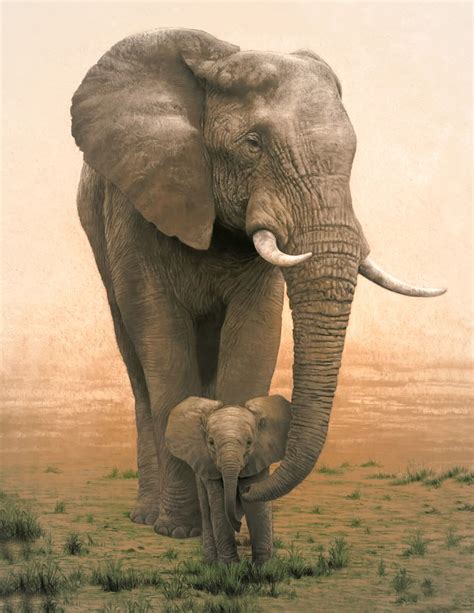 Mother Elephant And Babyanimal Posterillustrationafrica 17x22 Inch