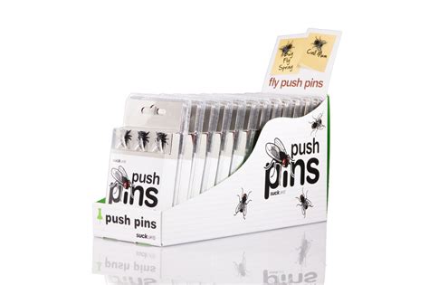 Fly Push Pins Real Looking House Flies Crawling On Your Pinboard