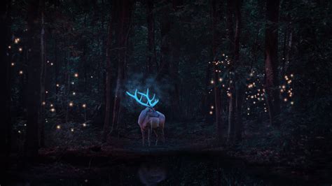 Best Deer Background Wallpaper Free Download