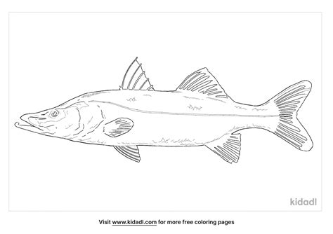 Free Common Snook Coloring Page Coloring Page Printables Kidadl