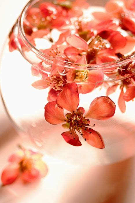 A bathroom awash with soft blue hues gives off a tranquil and relaxing energy. Pin on ღ.¸¸. Coral dorado - Golden and coral