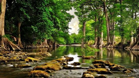 River Shore Hohe Bäume Grüne Blätter Ruhiges Wasser Steine Reflexion Hd