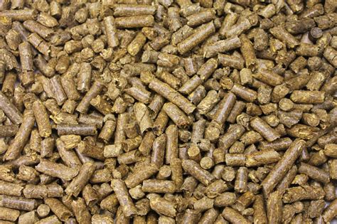 How to use pellet in a sentence. Swell Premium Straw Pellets | Swell Reptiles