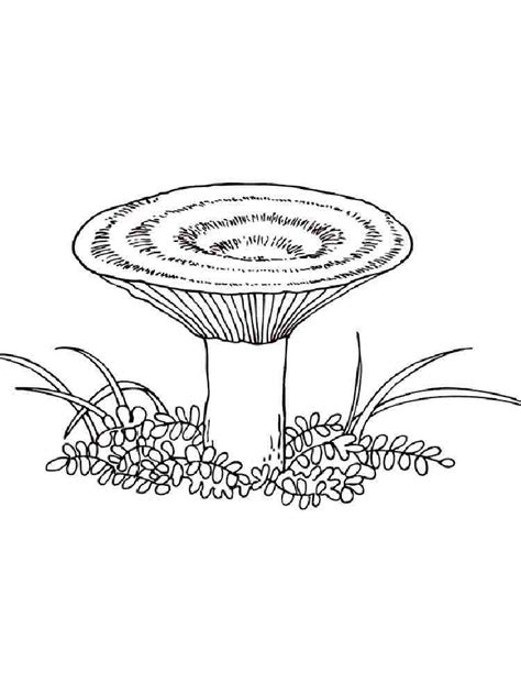 Free printable mushroom coloring pages coloring pages coloring pages. Mushrooms coloring pages. Download and print mushrooms ...