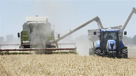 Wa Grain Growers Set New Harvest Record Nt News