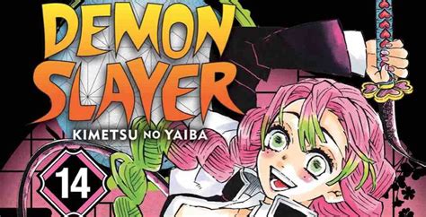 Demon Slayer Volume 14 Review But Why Tho