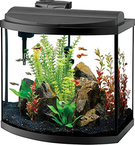 8 Best 15 Gallon Fish Tanks 2023 Reviews And Buying Guide Fishtankmag