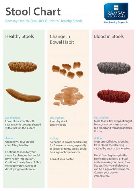 After all, griffin was in the best shape of his life, and only 32. Bowel cancer symptoms: What a healthy stool looks like ...