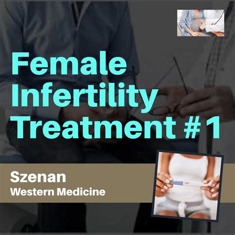 female infertility treatment 1 best acupuncture hamilton nz