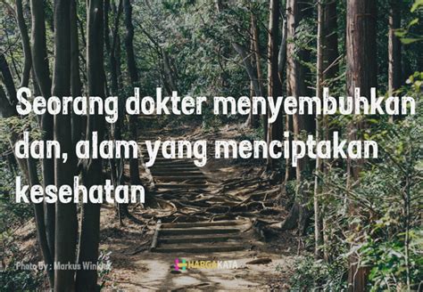 Cobalah kamu membaca kumpulan kata kata sabar menyentuh hati dibawah ini. Kata Mutiara Tentang Keindahan Alam dan Pendaki Gunung