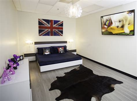 10 Best Dog Boarding Locations In The United States - Luxury Pet Hotels