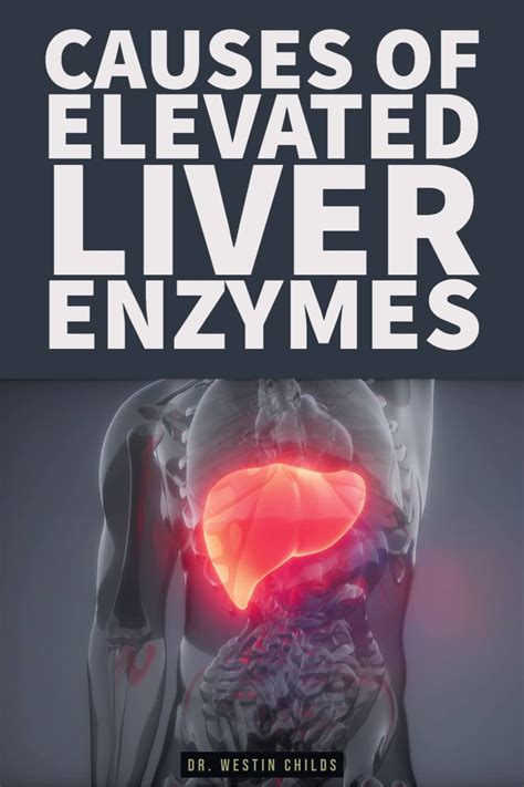 Top Causes Of Elevated Liver Enzymes Lower Your Ast And Alt