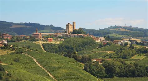 A big but elegant wine. Barolo Piemonte wine tour - Tim Syrad Wine Tours