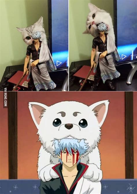 Anime Meme Otaku Anime Manga Anime Gintama Funny Naruto Funny