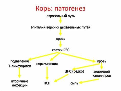 Дивертикул лечение диета