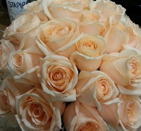 Peach Avalanche Roses Mint Wedding Flowers Pretty Flowers Beautiful