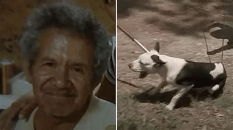 71 Yr Old Man Killed By 7 Dogs Fresno Tx Dog Owner Arrested