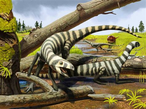 Triassic Fossils Indicate How Dinosaurs Grew From Hatchlings To Adults Paleontology Sci