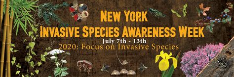 Invasive Species Awareness Week Slelo Prism