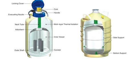 Liquid Nitrogen Dewars Labtech