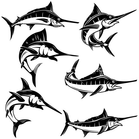 Marlin Vector At Collection Of Marlin Vector Free For
