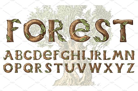Antique Wood Font For Forest Texture Illustrations ~ Creative Market