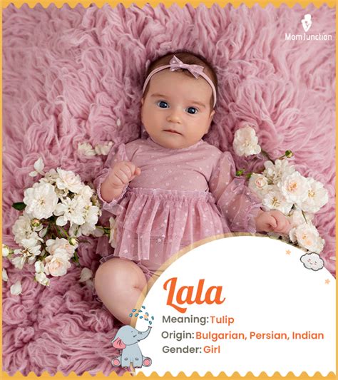 Lala Name Meaning Origin History And Popularity Momjunction