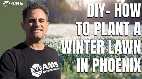 How To Plant Winter Grass In Phoenix Youtube