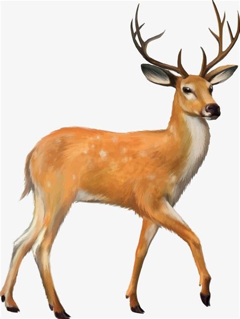 Deer Vector Clipart 10 Free Cliparts Download Images On Clipground 2024