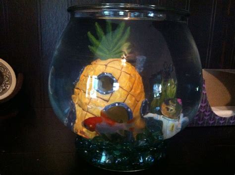 Ohhh Who Lives In A Pineapple Under The Sea Pineapple Under The Sea