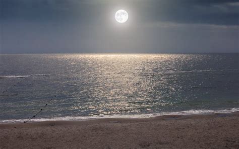 Moon In Night Sky Over Moonlight Sea Water Stock Image Image Of