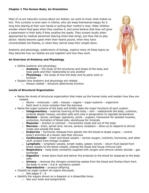 Chapter 1 An Introduction To Anatomy And Physiology Worksheet Answers Anatomy Worksheets