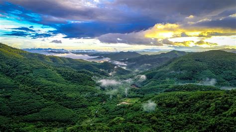 Chinas Largest Tropical Rainforest Grows In Area Cgtn